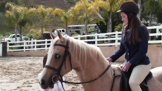 C'est le collège d'équitation des lesbiennes. Les adolescents deviennent furieux et excités ici