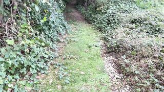 Aficionados follando en el bosque - Luna Green y Markus Green