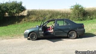 Abuelita de 70 años es golpeada en la carretera