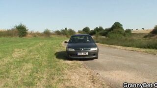 Una vieja perra es clavada en el coche por un extraño